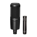 20 Series Cardioid Condenser Microphone R14600