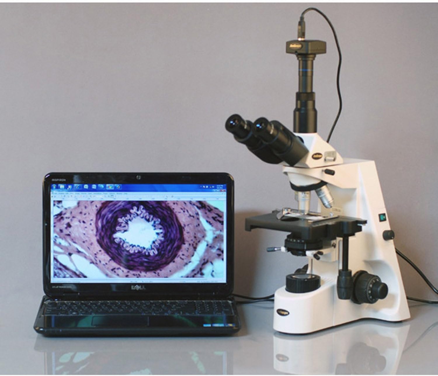 Digital Trinocular Compound Microscope, 40X-2500X Magnification, 5MP Camera D238373