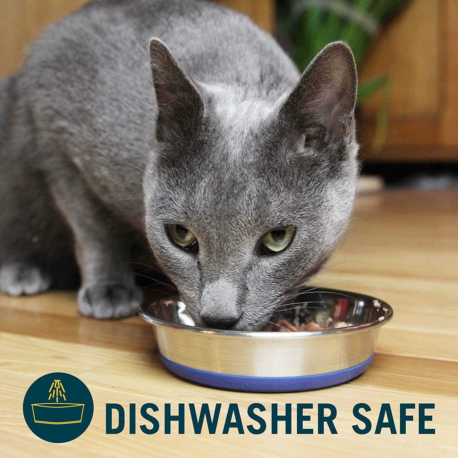 Cat Dish H479