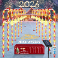 24 Pack Solar Candy Cane Lights with Remote G872