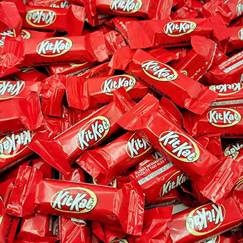 4 Pound Milk Chocolate Candy Bars G461924