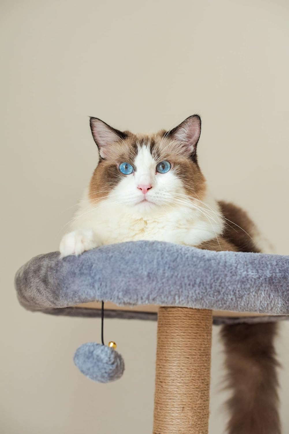 42" Grey Beige Cat Tree with Cat Hammock, Scratching Post V827154
