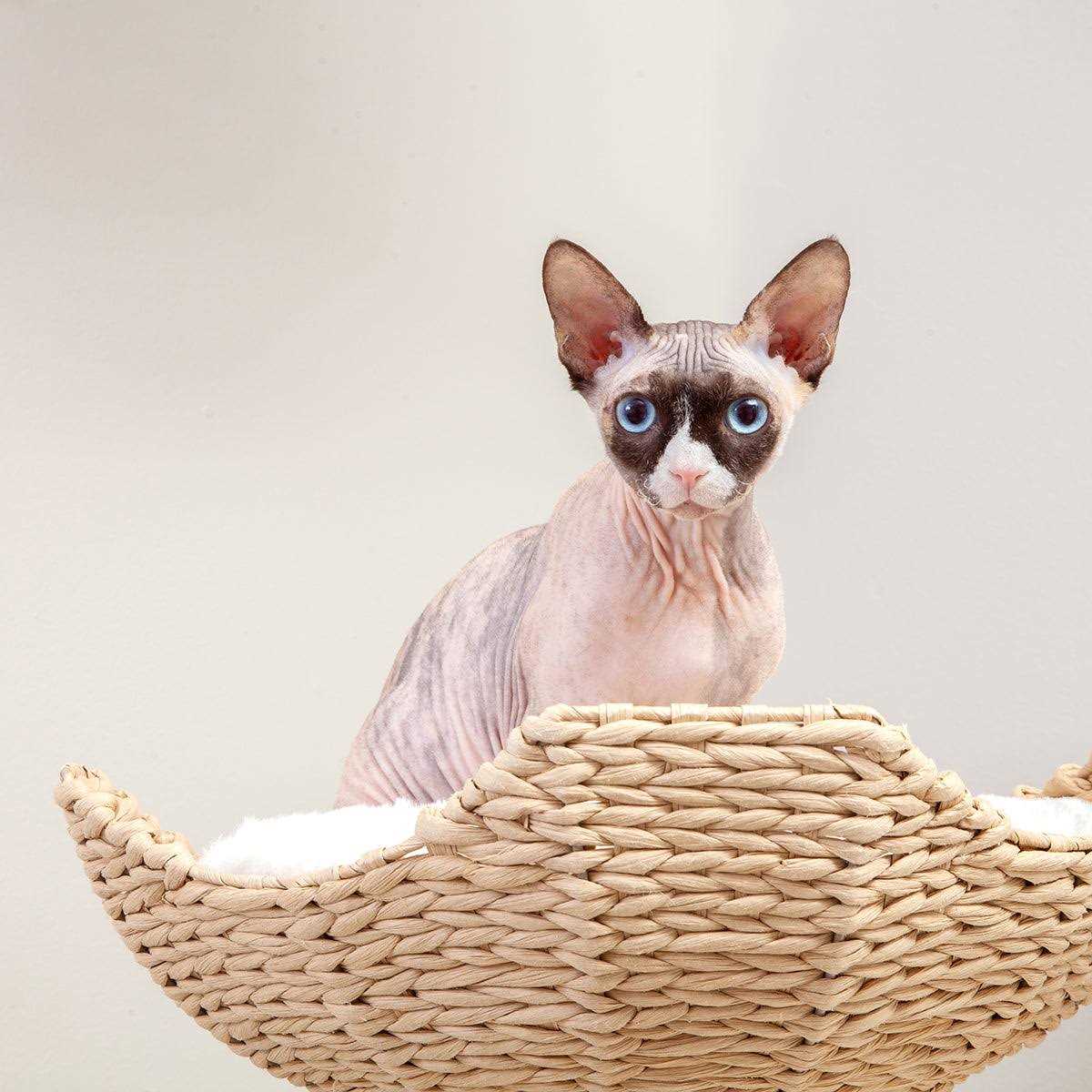 Modern Cat Tree Elevated Tower U8366