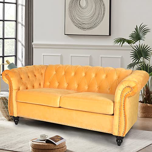 Traditional Chesterfield Velvet Loveseat Sofa with Nailhead Trim J44352