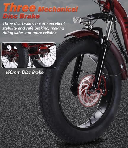 Electric Tricycle 3 Wheel Bike V104329