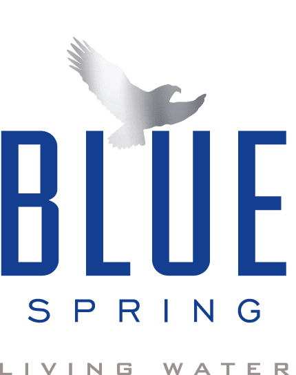 Blue Spring Natural Spring Water, 4 Gallons per Case G439667