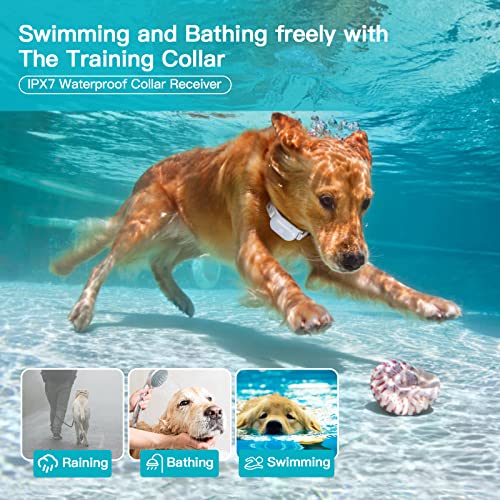 1000ft Waterproof Rechargeable Dog Training Collar with Remote M200