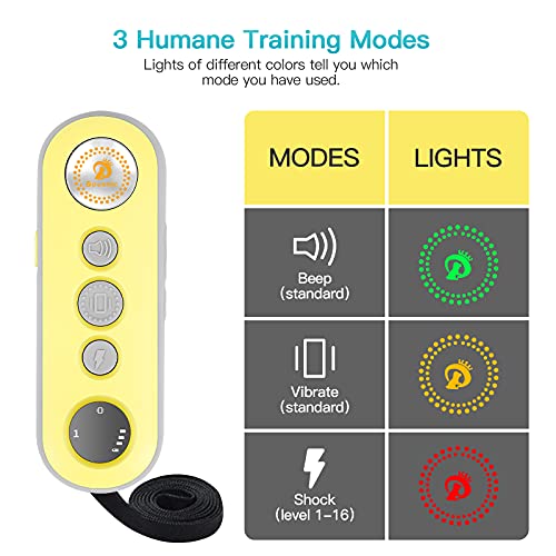 1000ft Waterproof Rechargeable Dog Training Collar with Remote M200