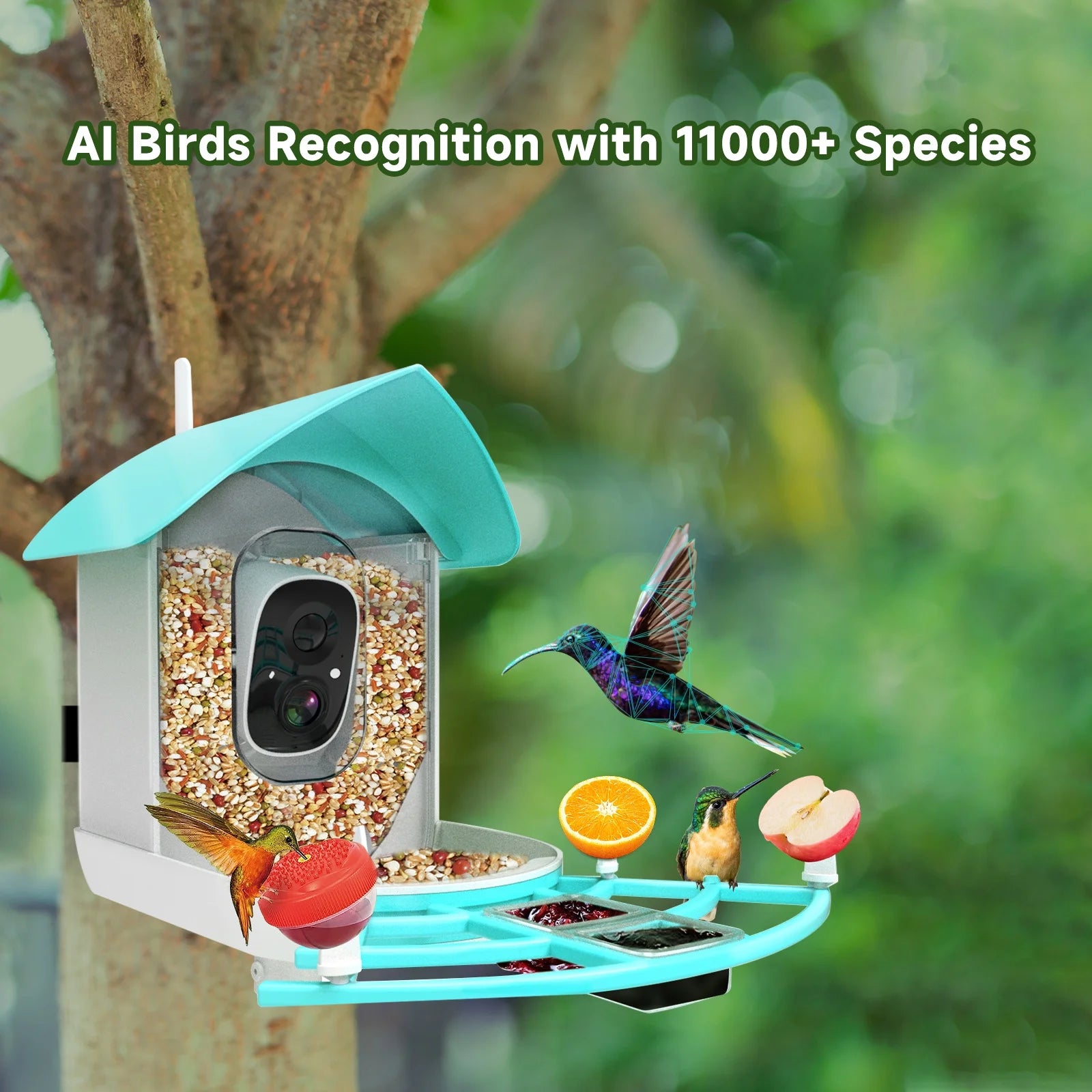 1080P Solar Powered Smart Bird Feeder with Camera B591
