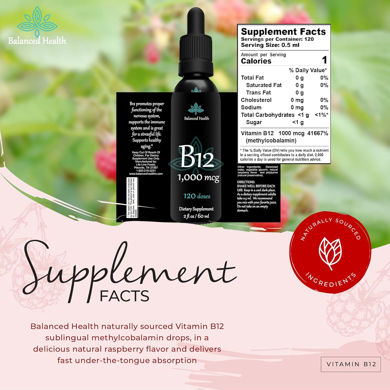 B12 1,000 mcg 2 oz 120 Servings Raspberry Flavor Sublingual Drops O8223