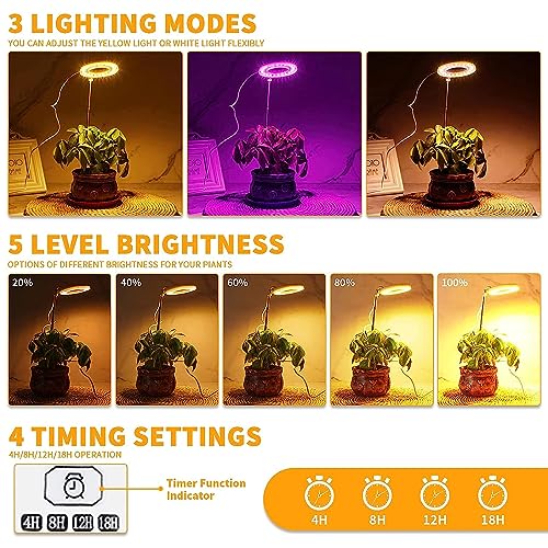 4000K White Full Spectrum Halo Plant Lamp with Auto On Off Timer P29253