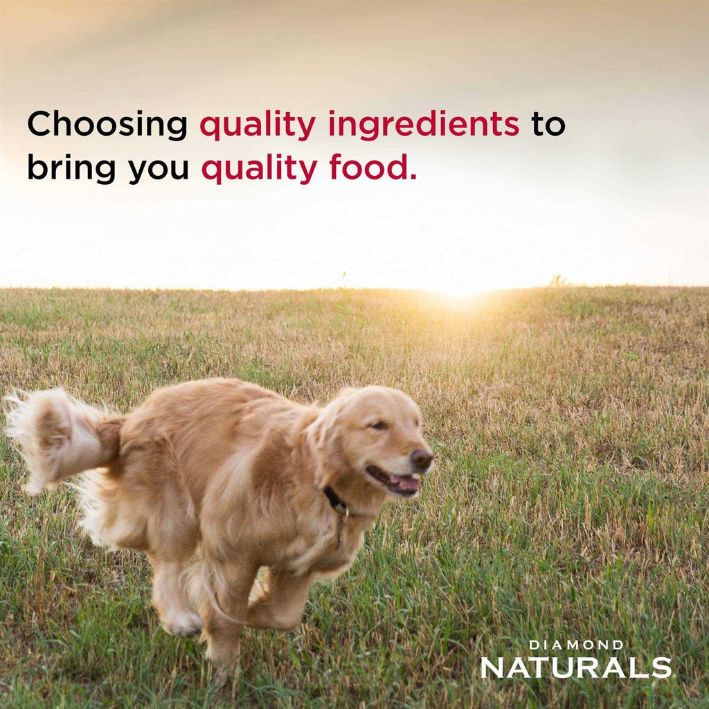 Lamb Meal & Rice Adult Dog Food N495