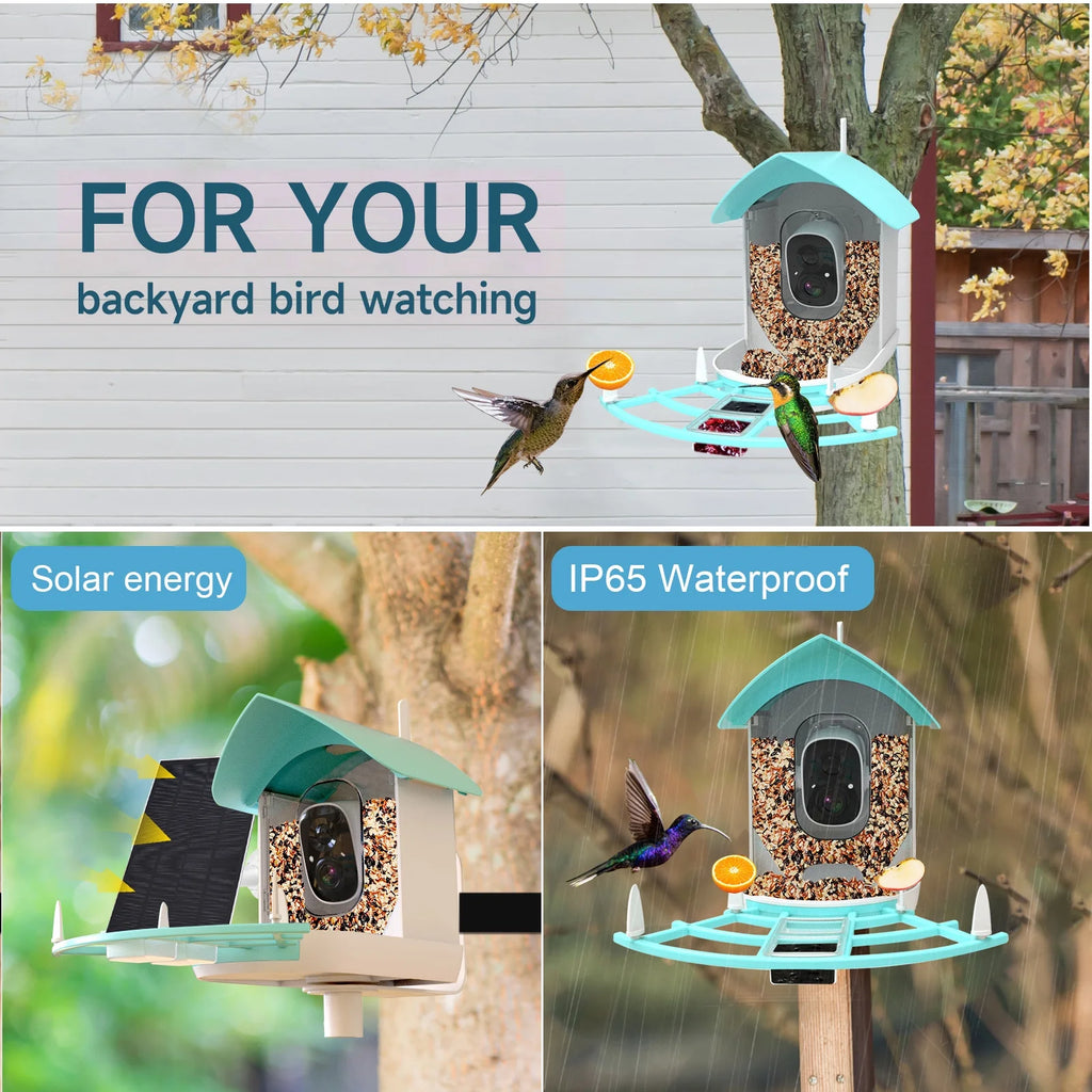 1080P Solar Powered Smart Bird Feeder with Camera B591
