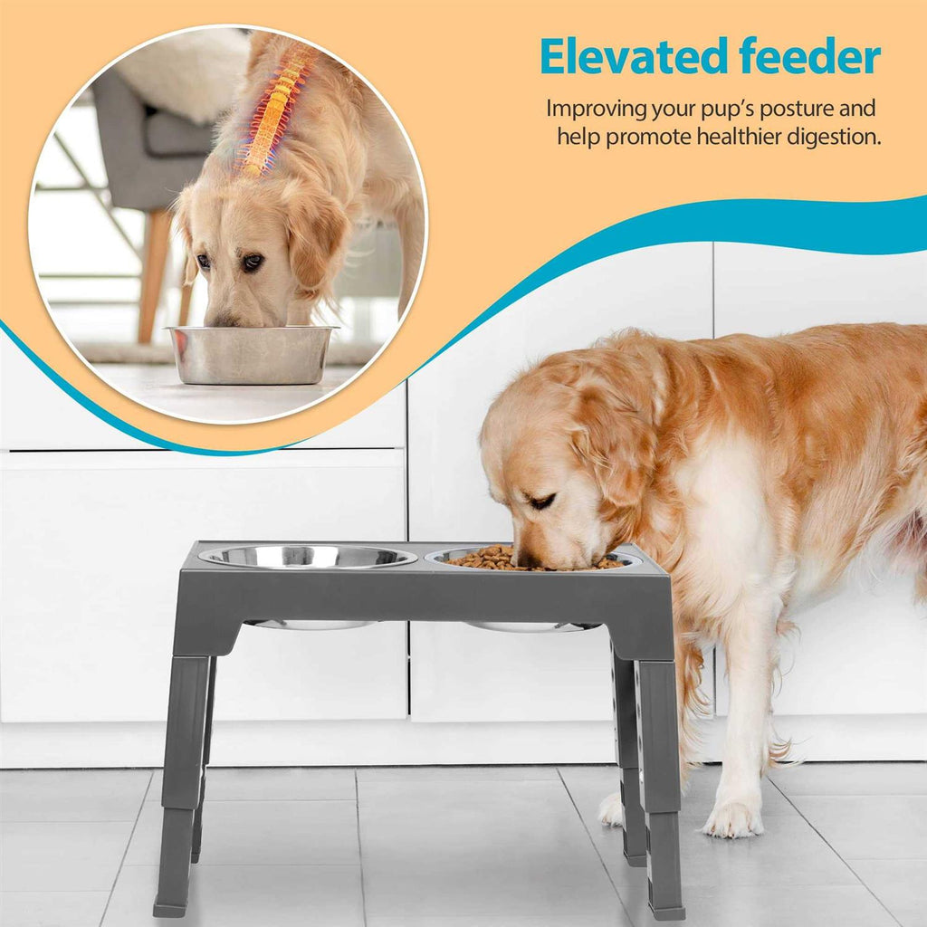 Elevated Dog Bowls with 2 Stainless Steel Dog Food Bowls E47551