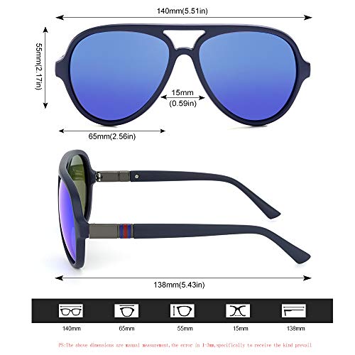 Polarized Plastic Lightweight Double Bridge Frame UV Protection Sunglasses U4013