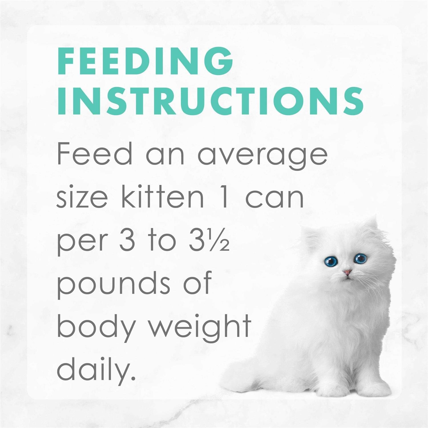 Grain Free Pate Wet Kitten Food Variety Pack R311