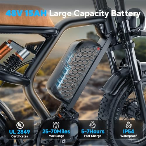 20 x 4 Inch Fat Tire 750W Electric Bike F326957