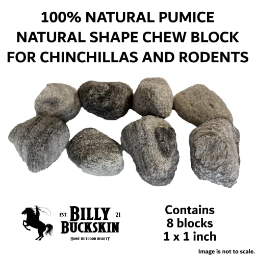 Volcanic Pumice Chinchilla Chew Block M3692