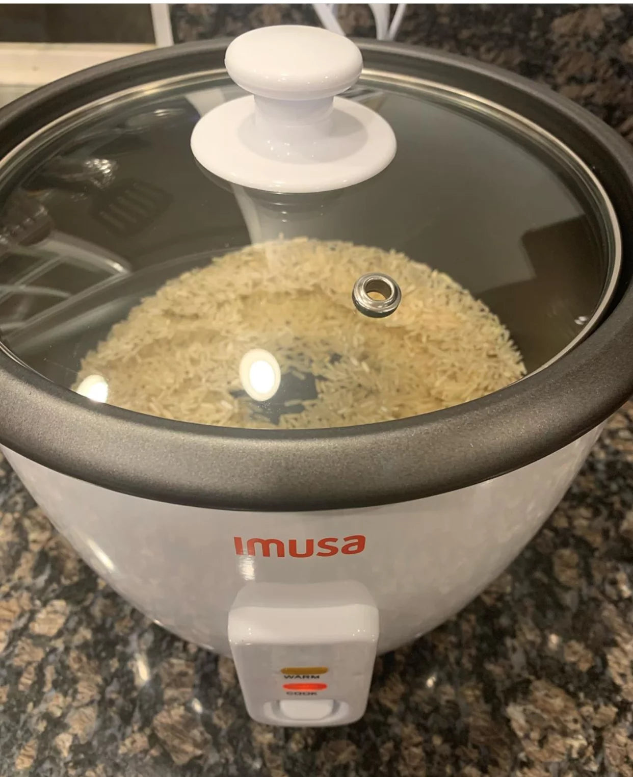 8 Cup Electric Rice Cooker R4789