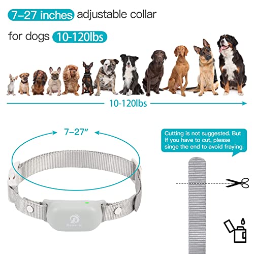 1000ft Waterproof Rechargeable Dog Training Collar with Remote M200
