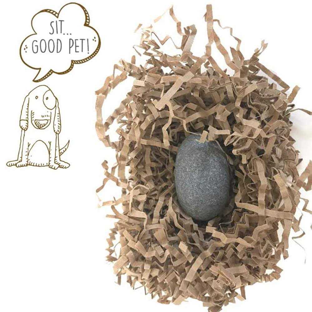 Pet Rock I46411