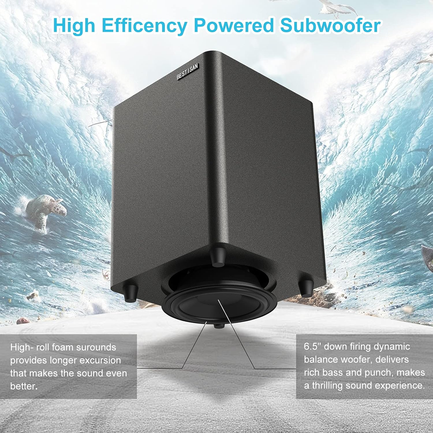 Powered Subwoofer, Black P38330