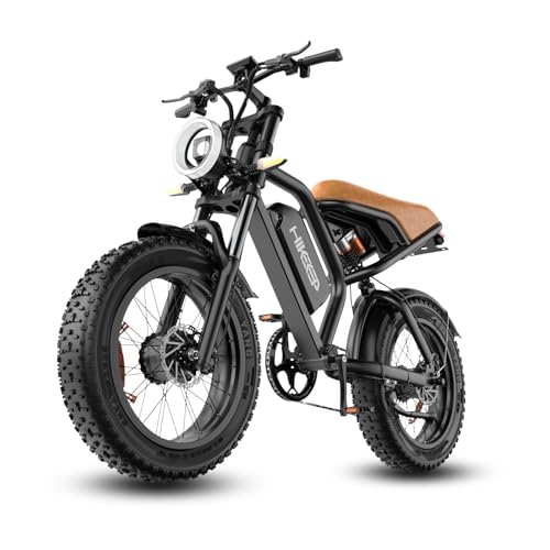 20 x 4 Inch Fat Tire 750W Electric Bike F326957