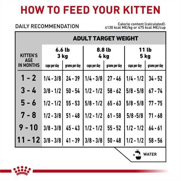 Veterinary Diet Feline Gastrointestinal Kitten Dry Cat Food M2072