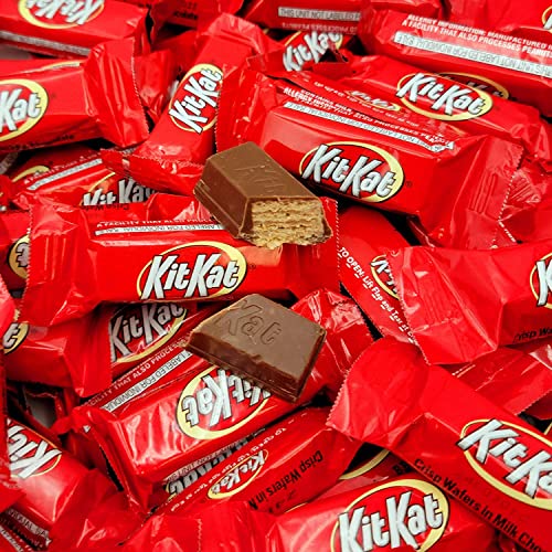 4 Pound Milk Chocolate Candy Bars G461924