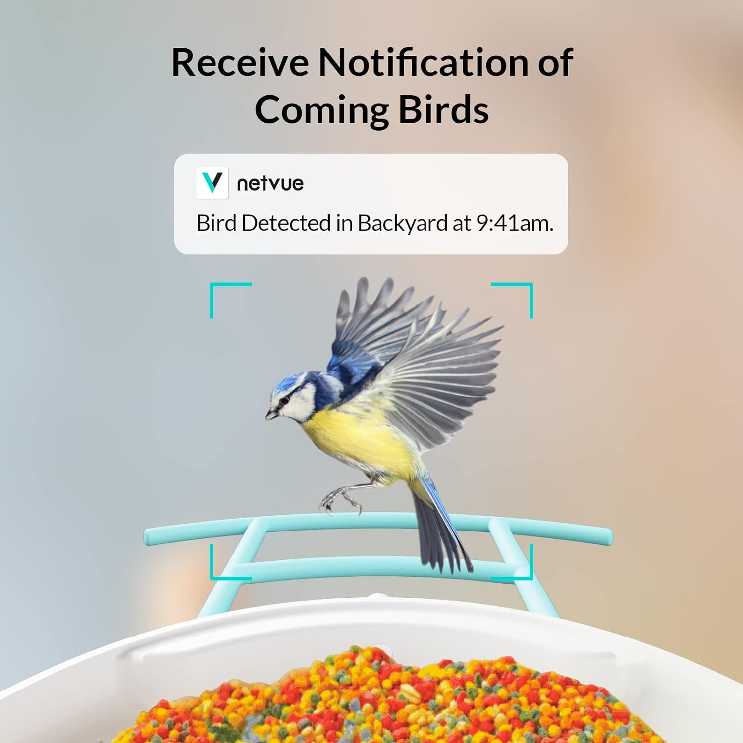 Birdfy Solar Camera with Humming Bird Feeder Extension Perch H286859