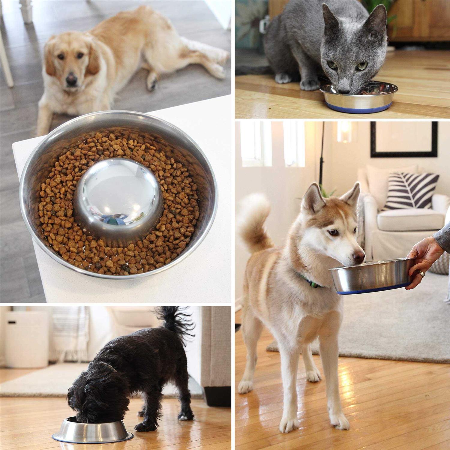 Cat Dish H479
