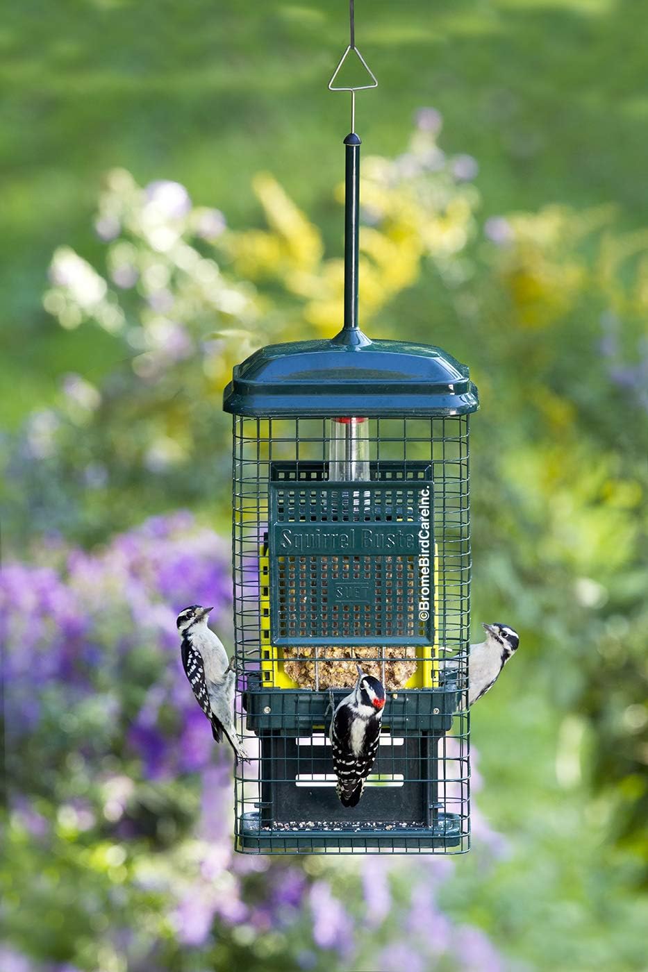 Green Suet Bird Feeder with 2 Suet Cake Trays K82129
