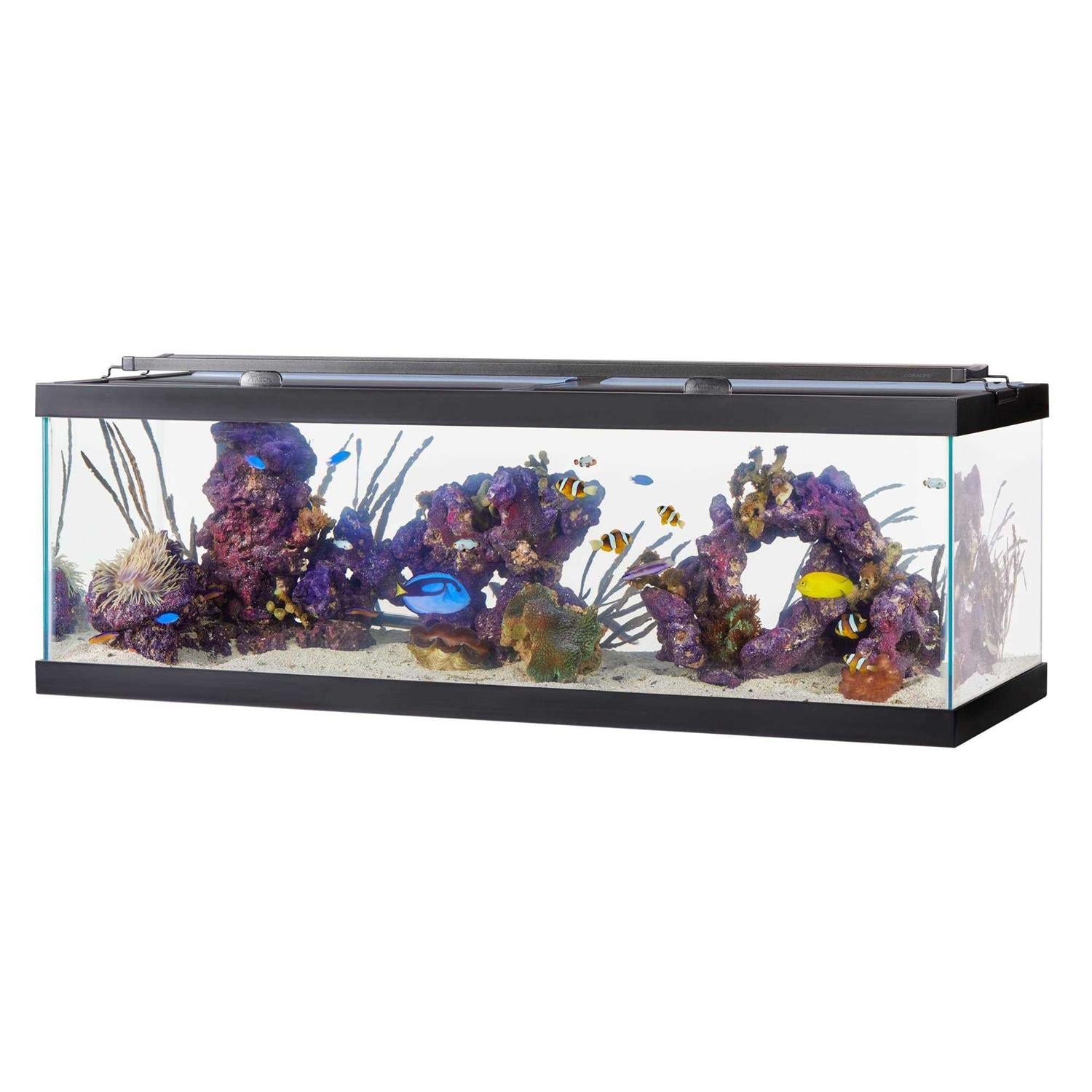 Standard Glass Rectangle Aquarium U275167