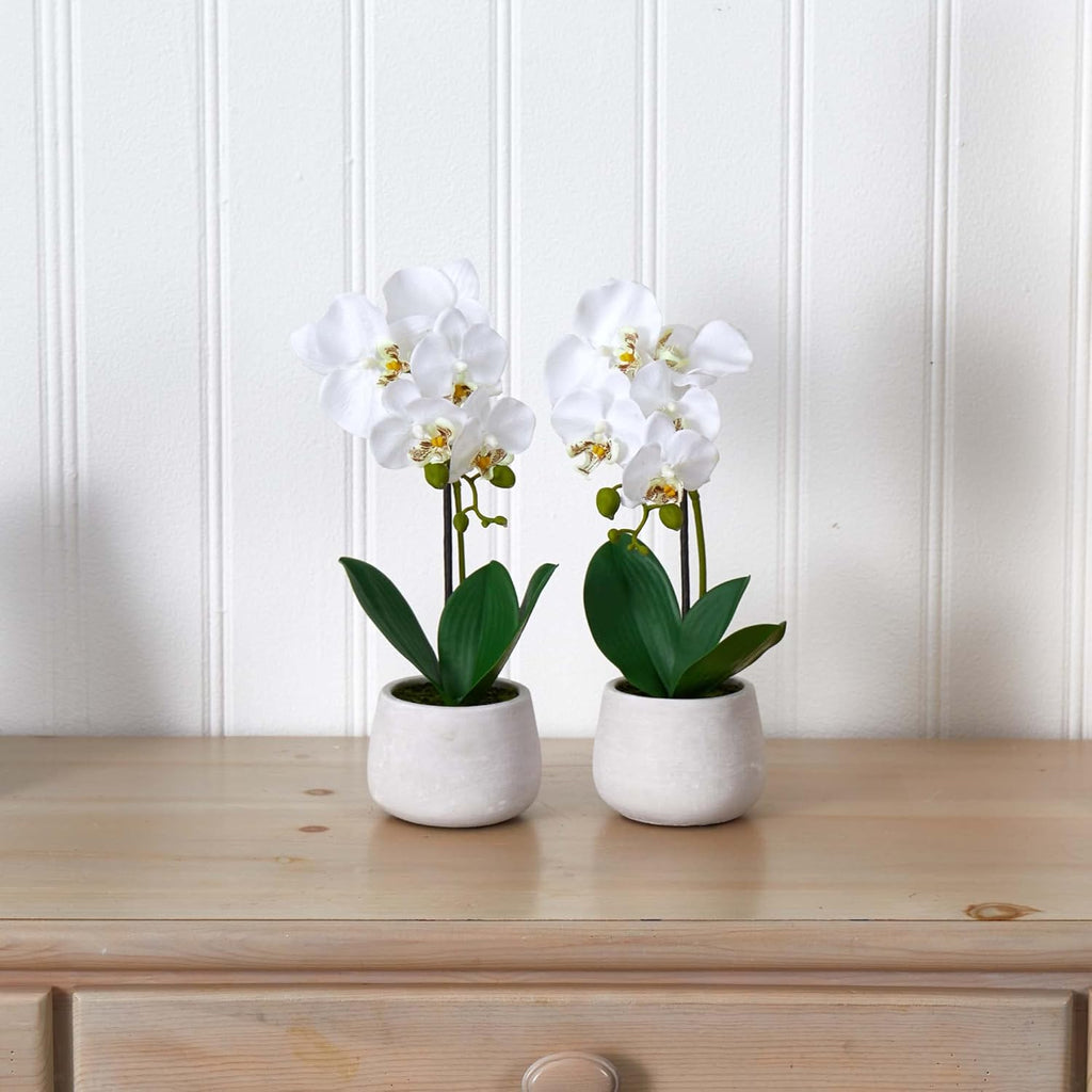 Set of 2 Artificial Phalaenopsis Orchid Arrangement R1277