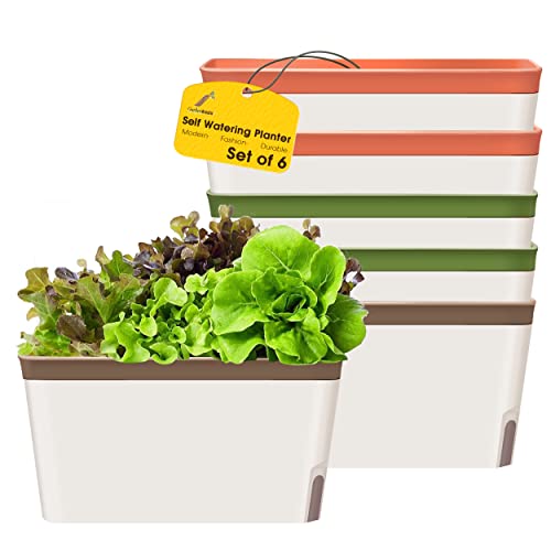 Self Watering Planter Pots Window Box Set of 6 Green Q4635