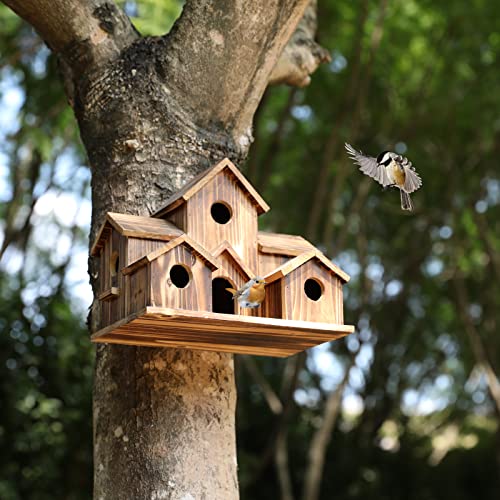 Large Bird House for 6 Bird Families F698194